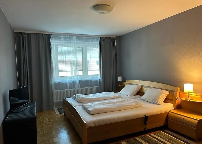 公寓 Goetheapartment 美因河畔法兰克福