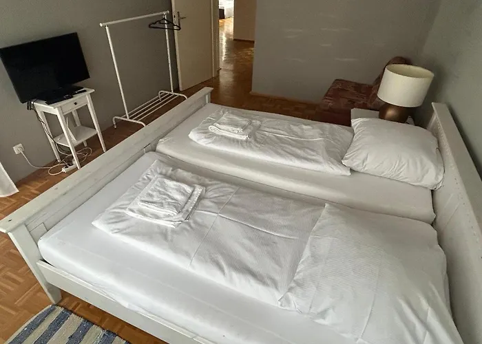 公寓 Goetheapartment 美因河畔法兰克福